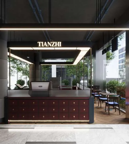 Tianzhi Design Village, 3D design visualization 4 of 5